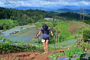 BIB: 
                            <button type="button" onclick="openModal(13379734)" class="btn btn-primary btn-sm float-right btn-popup" data-toggle="modal" data-target=".modal-high-quality">
                        <i class="fas fa-shopping-cart"></i> Add to Cart
                    </button>
                                            <button type="button" onclick="isThisMe(13379734, true)" class="btn btn-success btn-sm float-right btn-popup btn-isme hidden" data-toggle="tooltip" data-placement="bottom" title="นี่คือรูปของคุณใช่ไหม คลิกที่นี่เพื่อเอาเข้าอัลบั้ม">
                        <i class="fas fa-plus"></i> Add to album
                    </button>
                    <button type="button" onclick="isThisMe(13379734, false)" class="btn btn-warning btn-sm float-right btn-popup btn-isnotme hidden">
                        <i class="fas fa-ban"></i> Remove from album
                    </button>